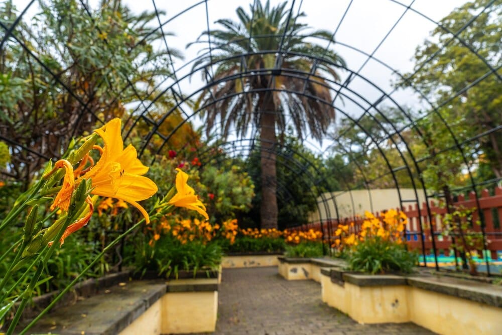 Parque Botánico Celestino Mutis: un plan familiar en La Rábida