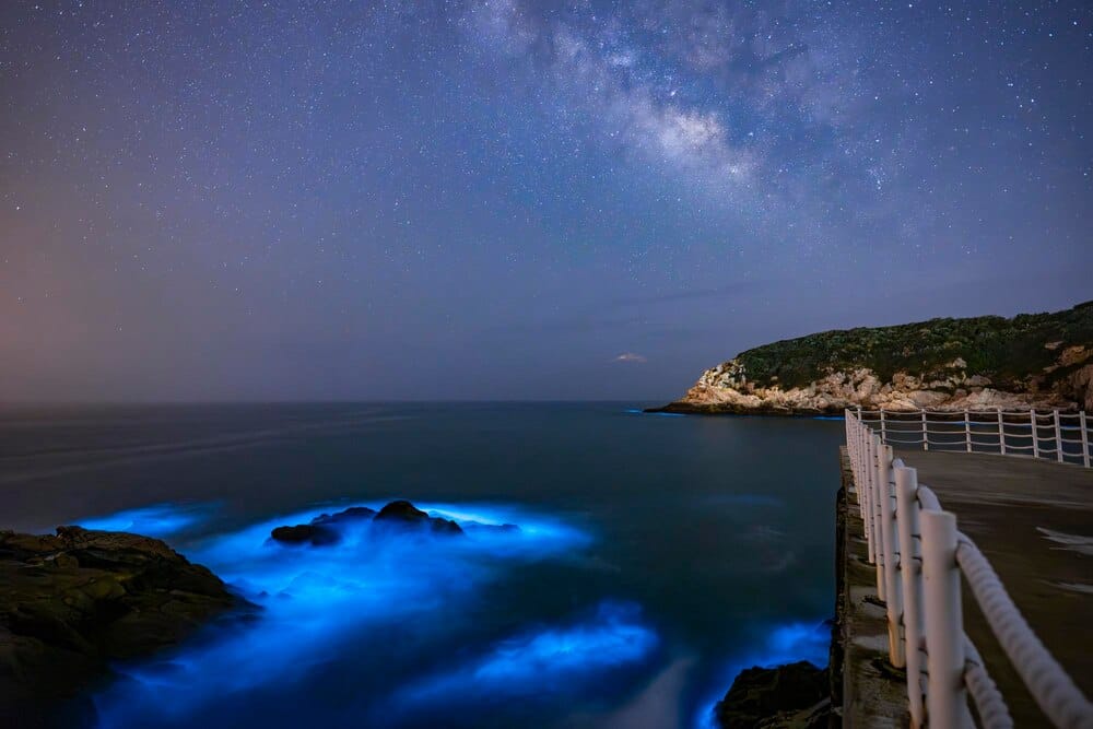 Mar de ardora en A Coruña: dónde ver el brillo nocturno