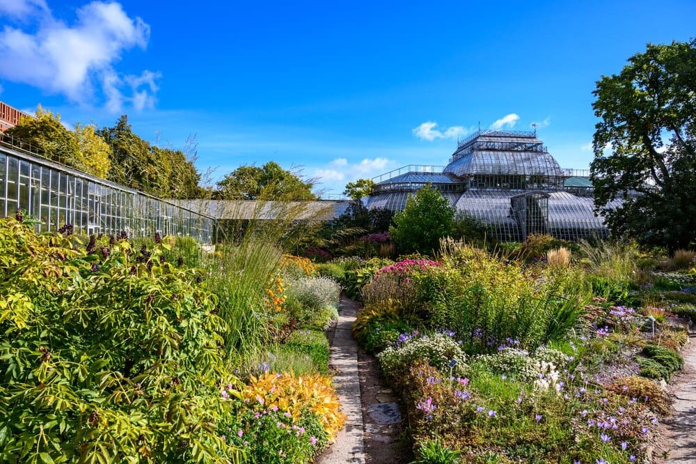 Primavera en el Jardín Botánico Atlántico de Gijón