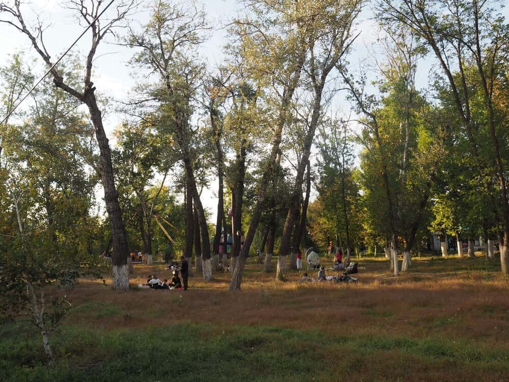 El Bosque de los Zaragozanos cumple cien años