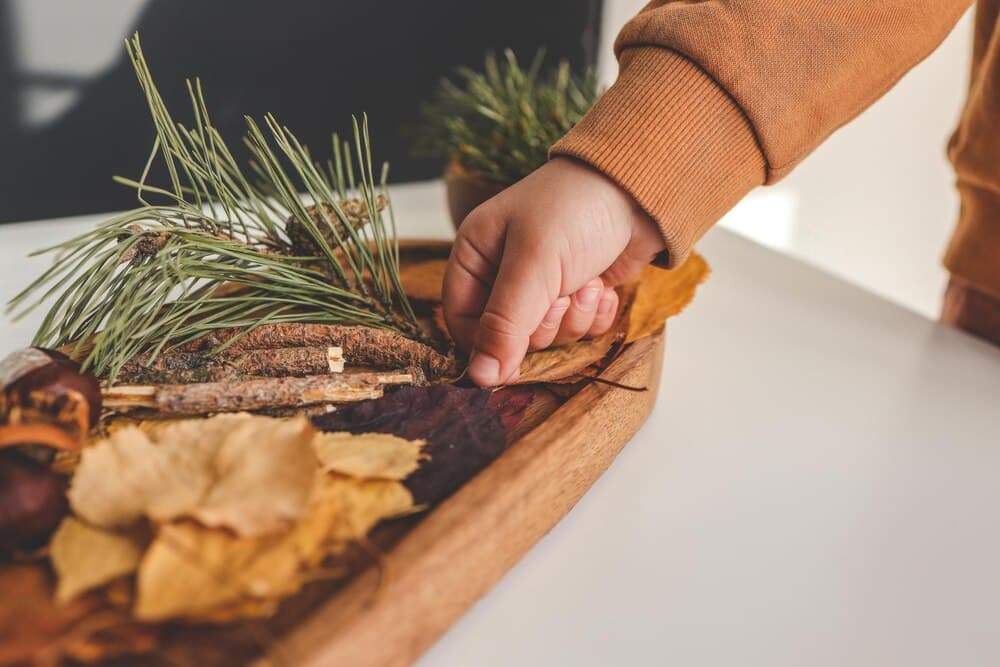 Obradoiro: Coroa de Nadal