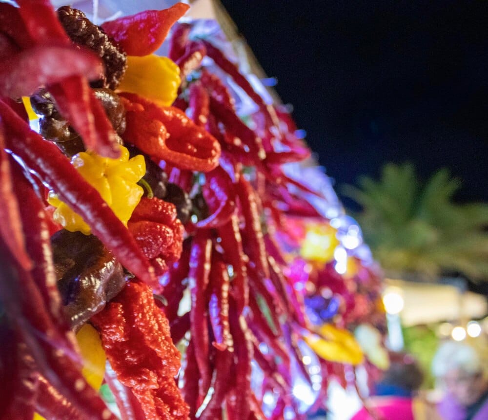 Sabor Toledo 2026: el nuevo festival en La Vega