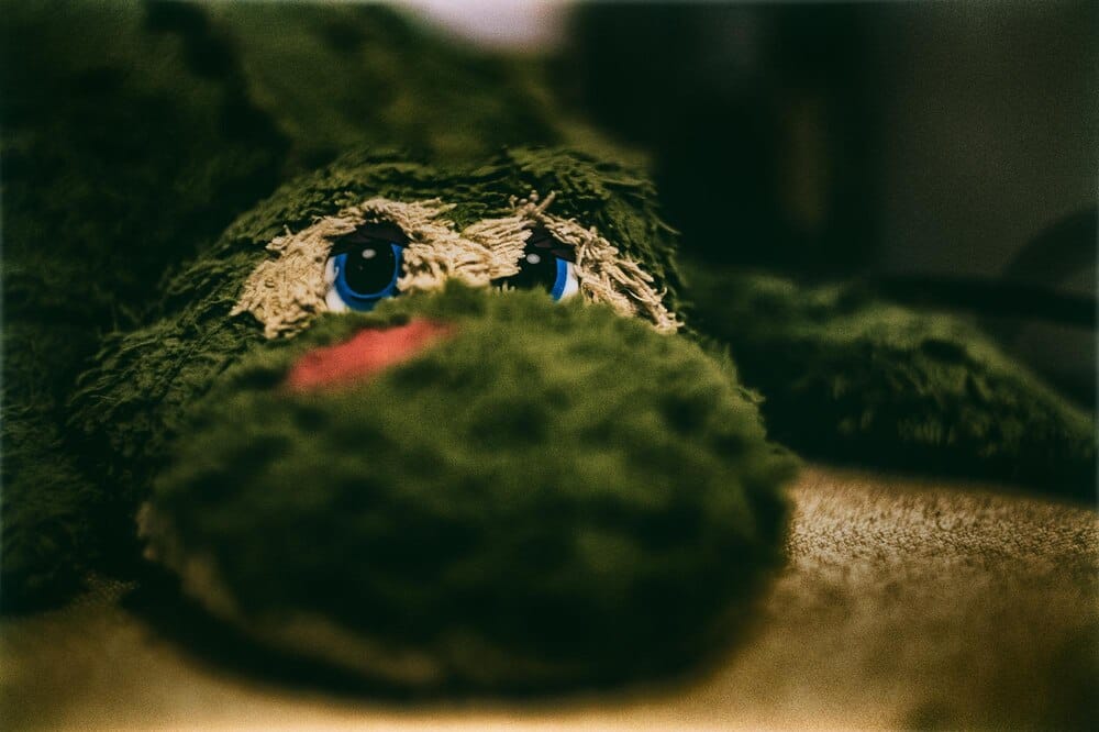 Exposición de reptiles y anfibios: El monstruo de Gila llega a Asturias