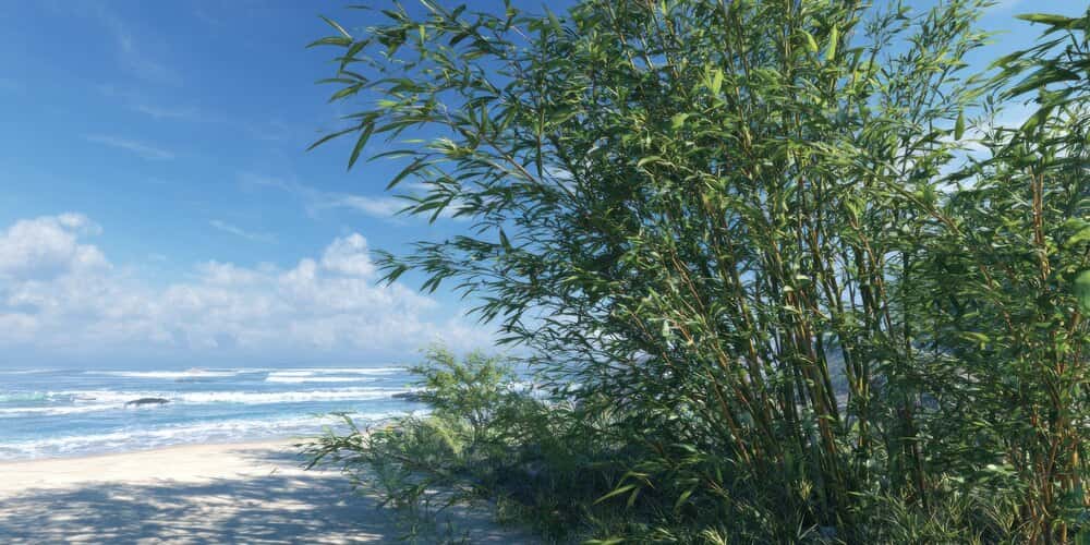 Bambú Beach en Motril: ambiente y reseñas