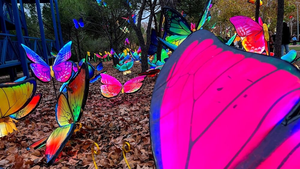 Mr Dot Butterfly Trail