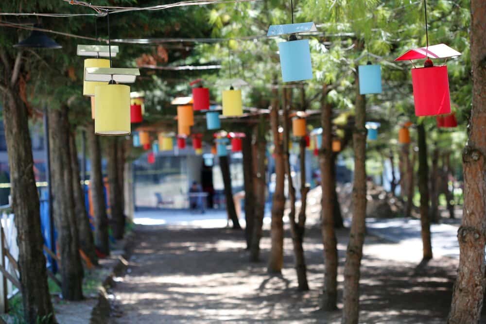 Feria de Agosto de Pinos Puente: cartel y actividades