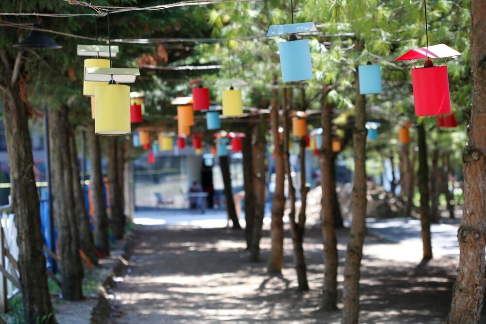 Feria de Agosto de Pinos Puente: cartel y actividades