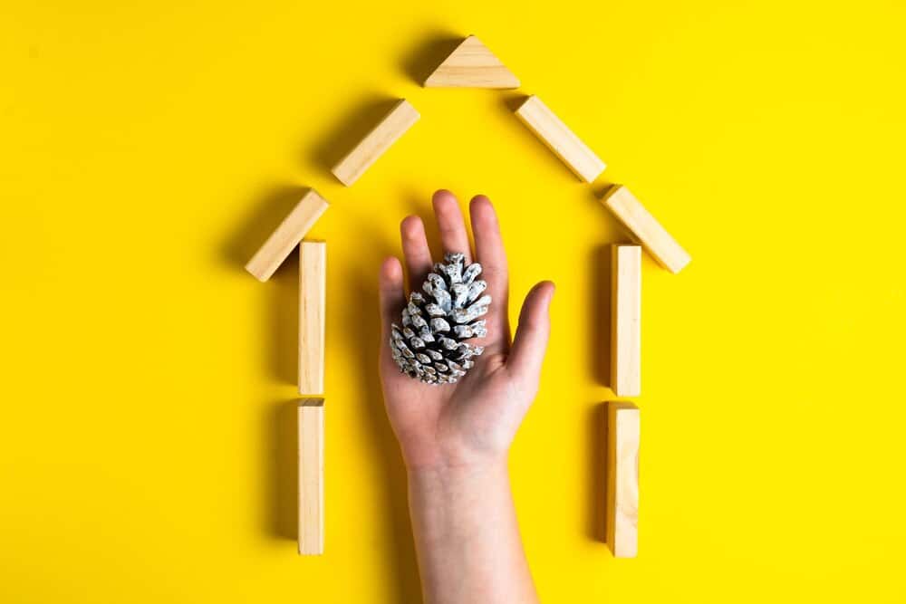 Grupos de apoyo familiar Creciendo Contigo: parentalidad positiva