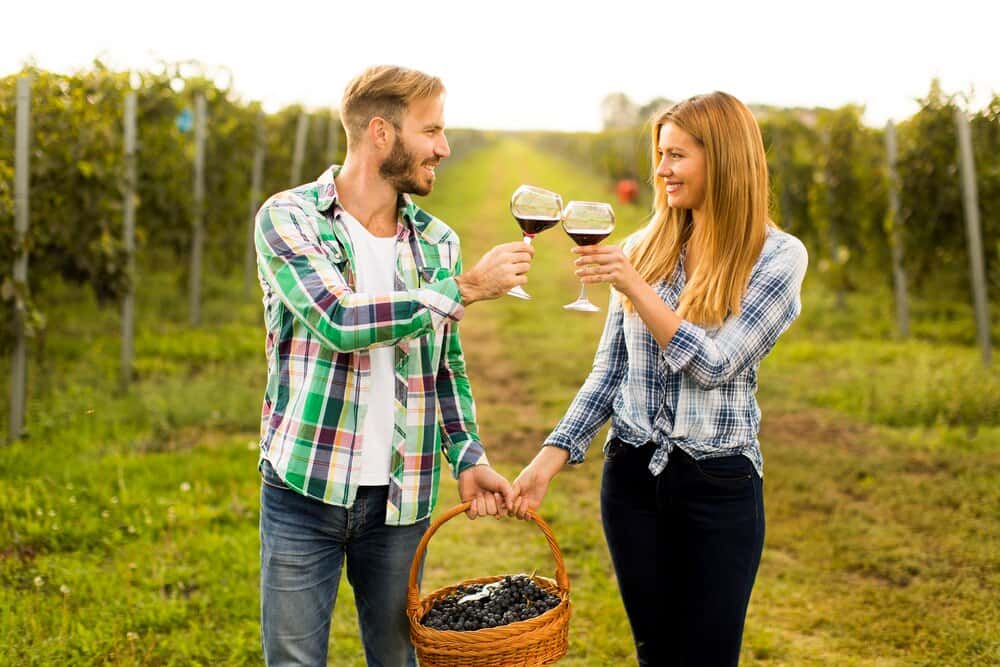 The Hunter Valley’s Best Wineries: A Local Guide