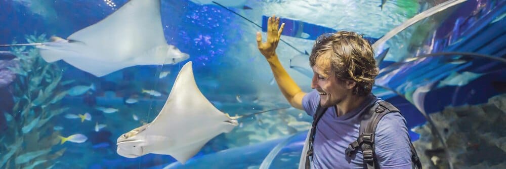El Acuario de Gijón celebra 20 años con una exposición