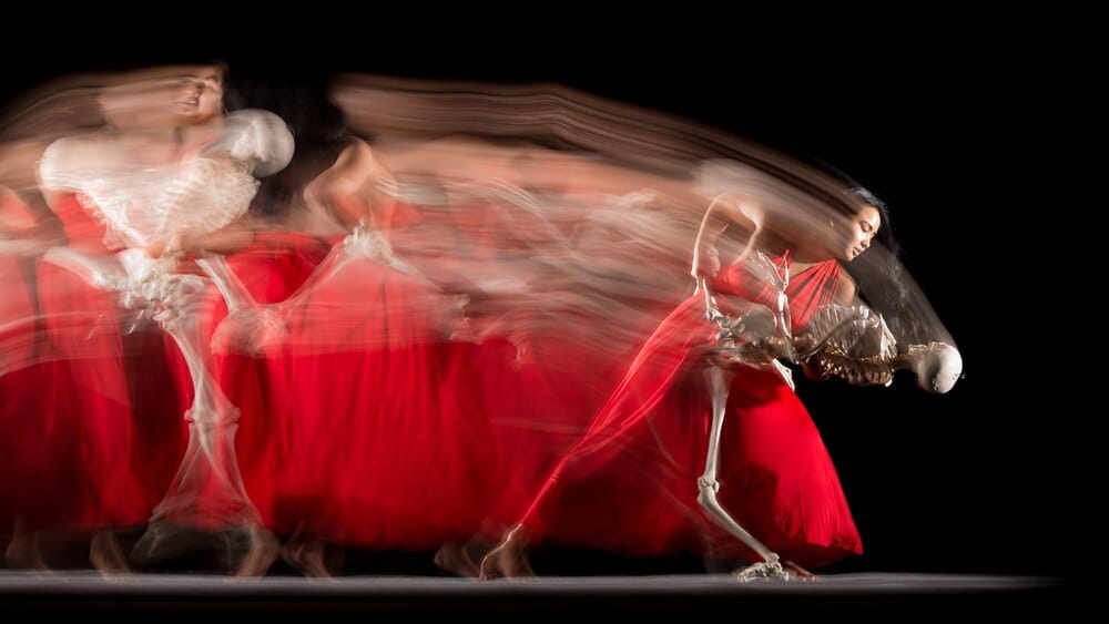 Danza contemporánea y tradicional - Loraldia 2026