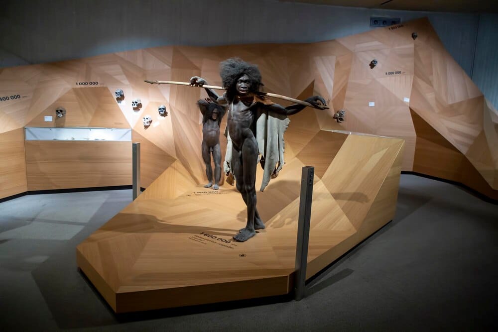 Joan Fontcuberta lleva sus 'Dioramas' al Museo de Altamira