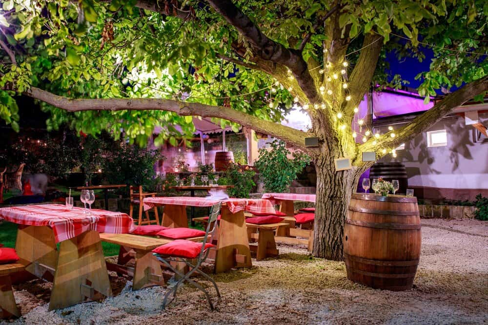 Lluís Muncunill: bares y terrazas para cenar en Terrassa