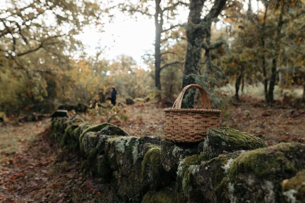 Ponteandadas: Ruta en Campañó con recogida solidaria