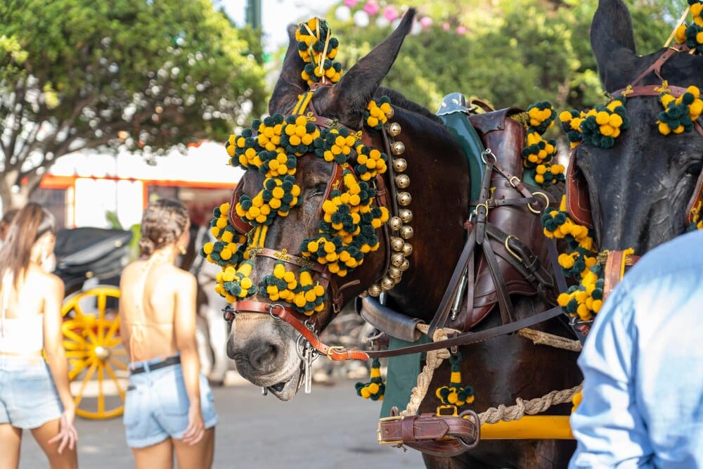 La Feria de San Sebastián 2026: conciertos y toritos
