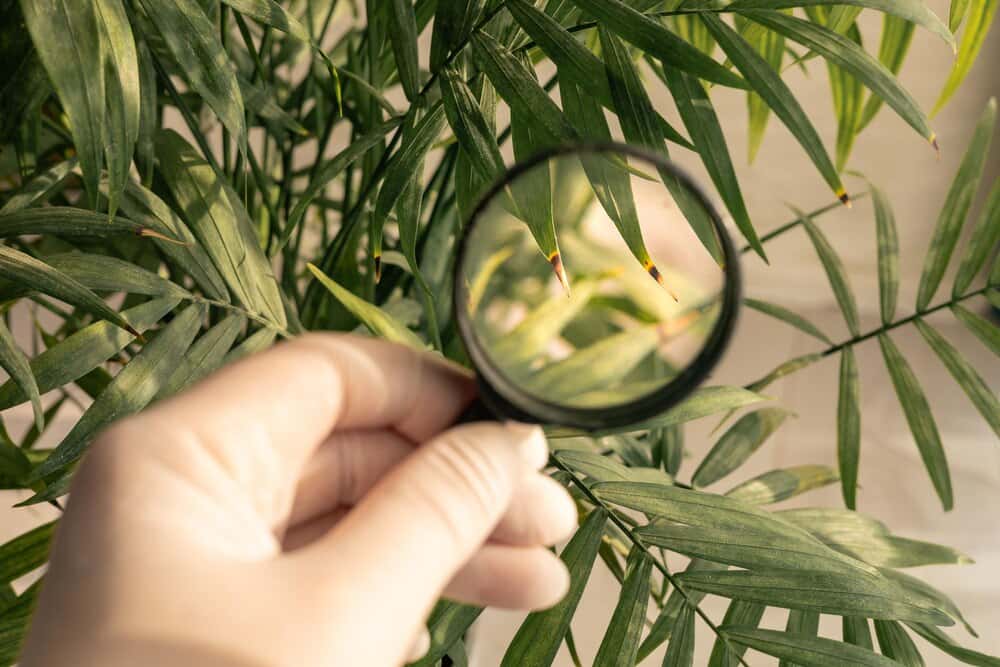 Taller Ecosistemas andaluces