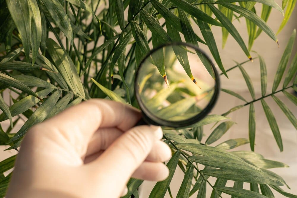 Taller Ecosistemas andaluces