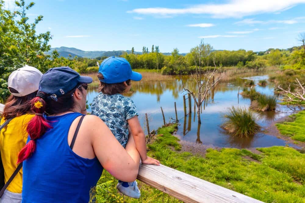 Guía para vivir la Romería de San Benito en La Laguna