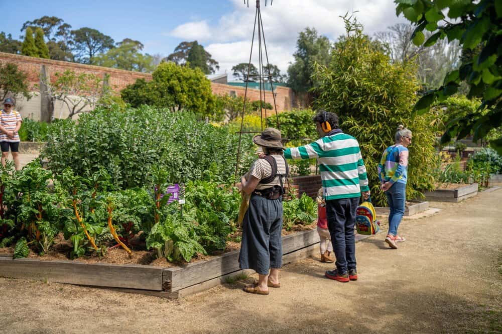 Planes para redescubrir los Jardines de Pereda