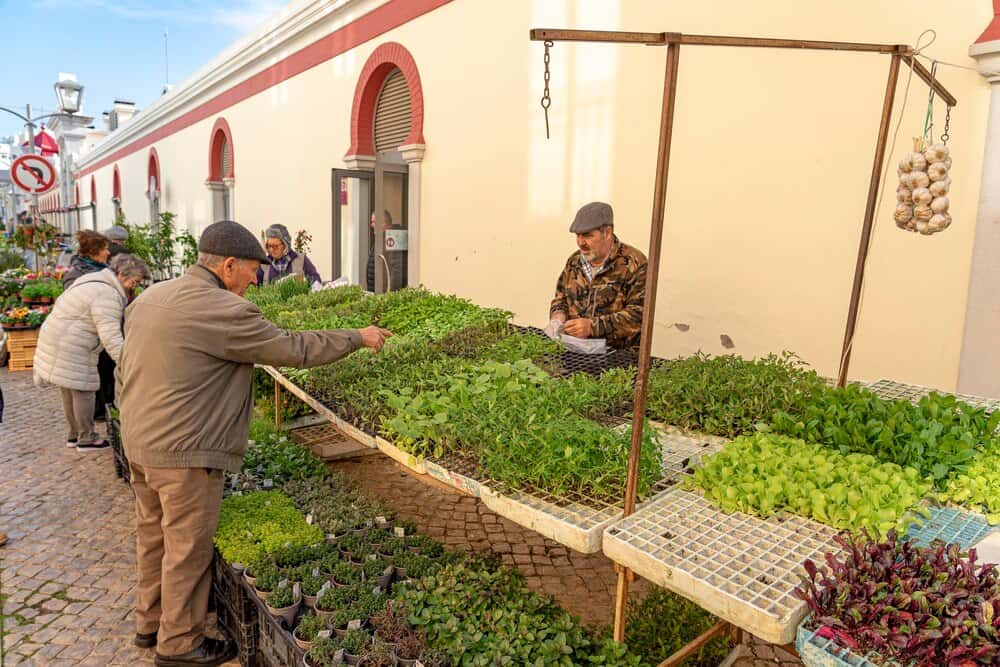 Restaurantes de huerta y kilómetro cero en Valladolid