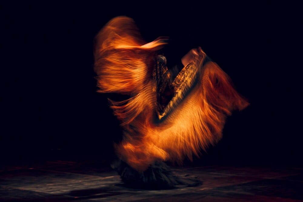 Flamenco, clásico español, danza moderna y ballet clásico - Estudio de Baile La Milana