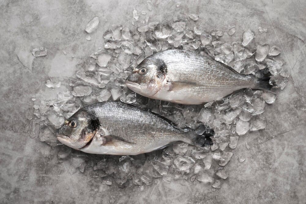 Lanzamiento del choco de Cambados de «PescadeRías, de onde senón?»