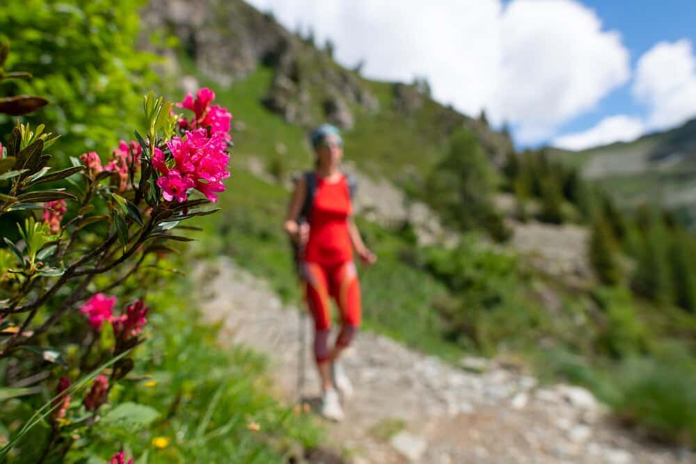 Rutas gratuitas por la naturaleza navarra esta primavera