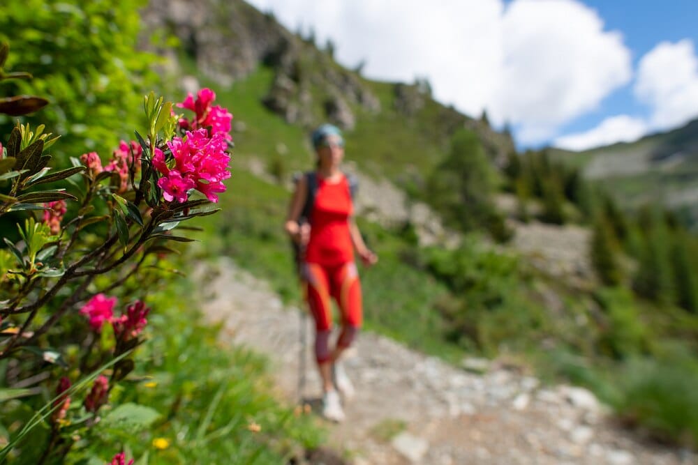 Rutas gratuitas por la naturaleza navarra esta primavera