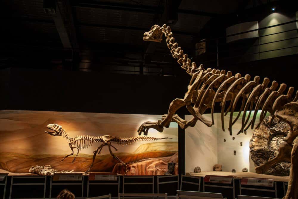 Visita en Familia: Tras las huellas de Patagotitán