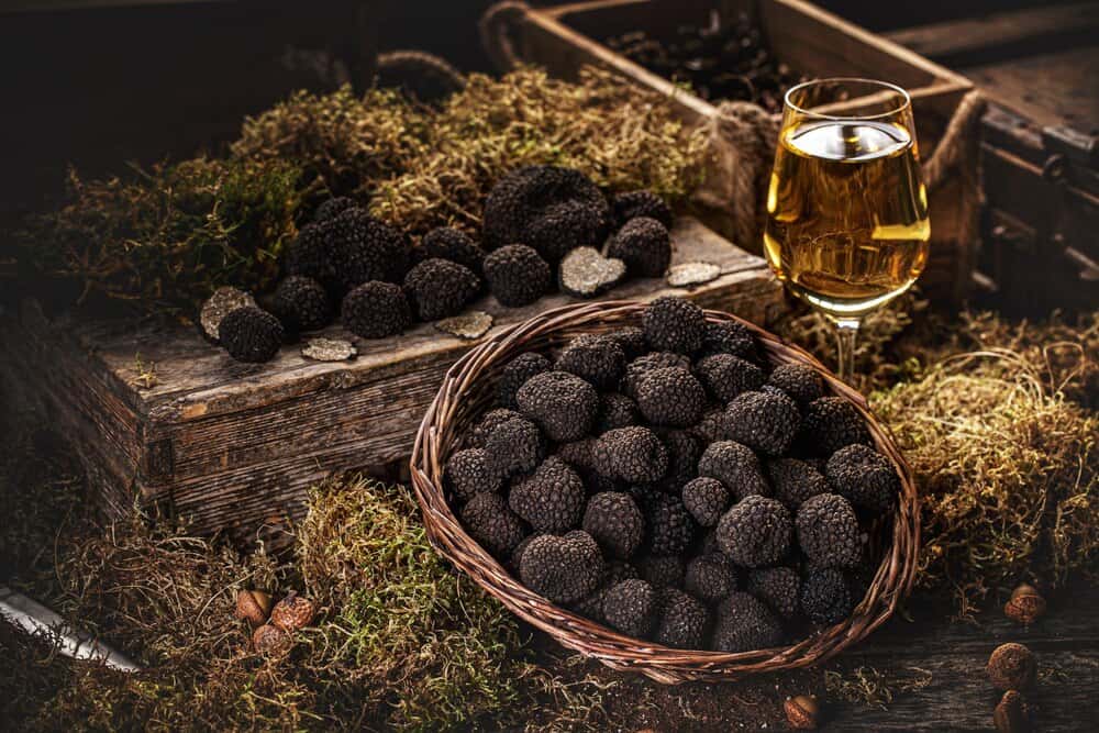 UK Truffle Festival Returns to Hickstead