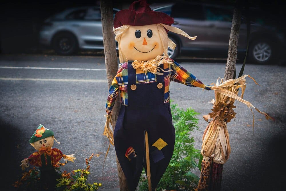 Fiestas de Mas de Don Pedro