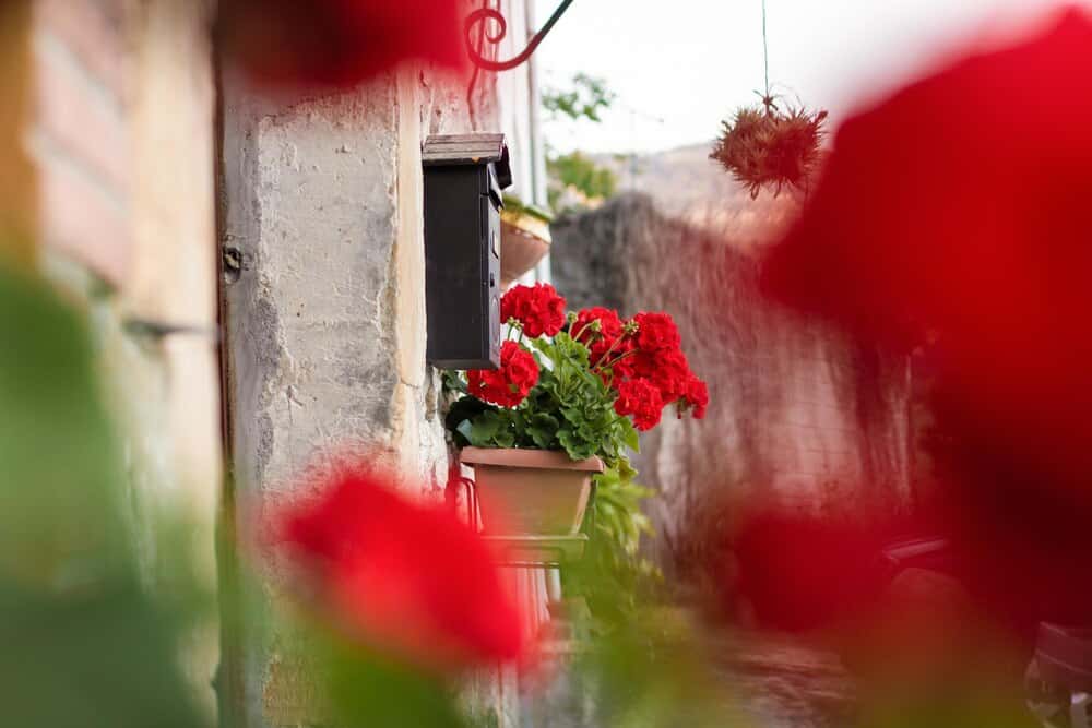 Domingo de Ramos en Sevilla 2026