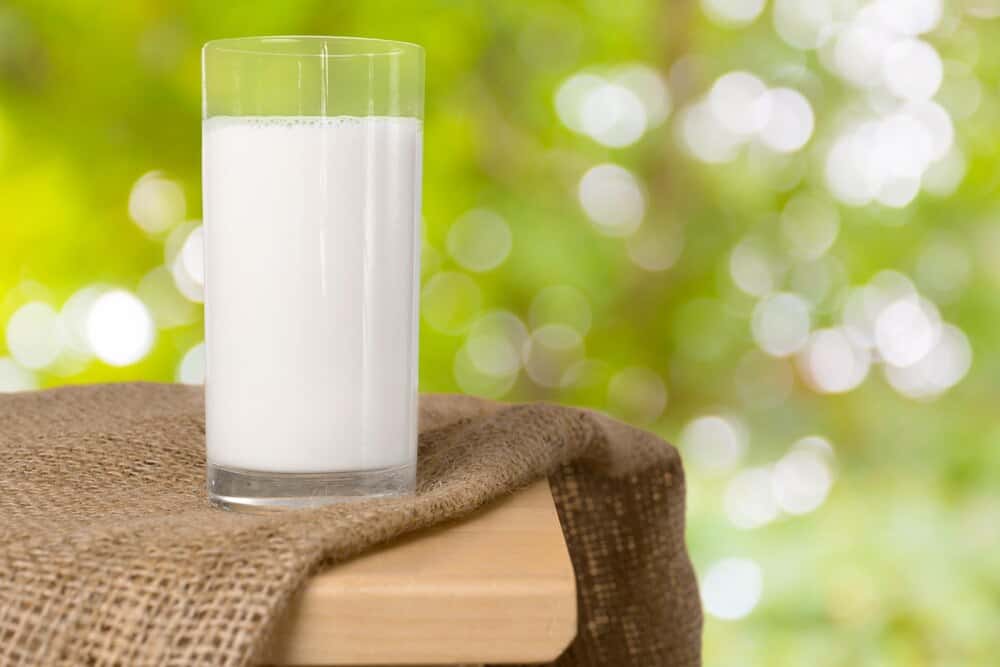 Día Internacional de la Leche
