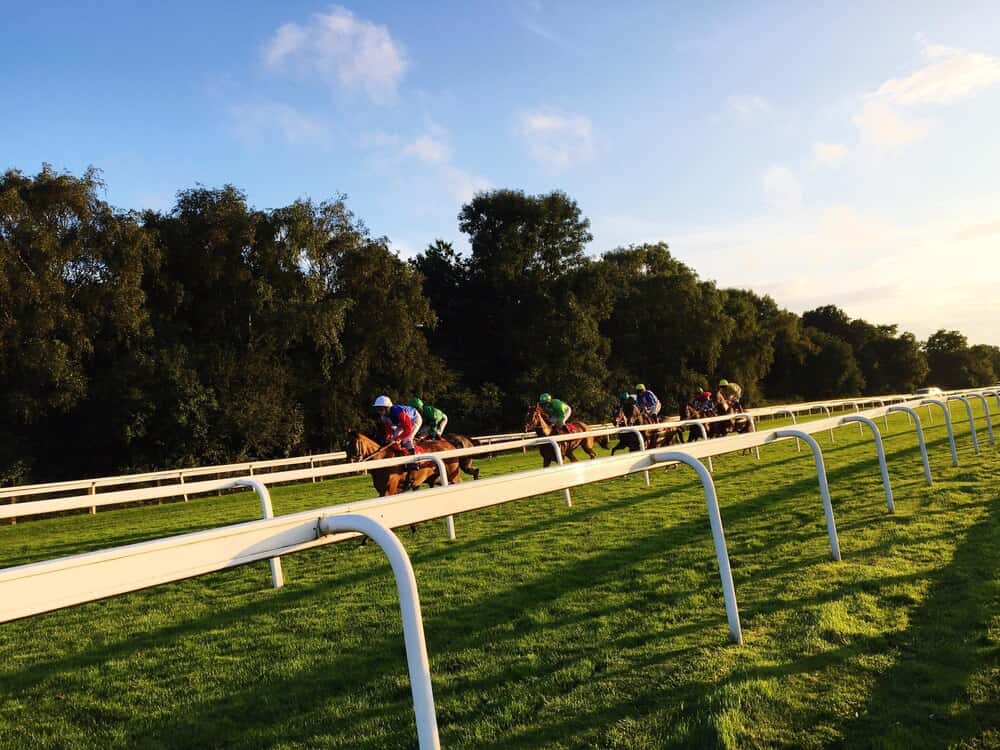 York Races