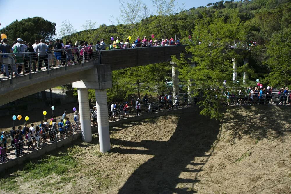 III Cross Arco Verde: así fue la carrera del Monte