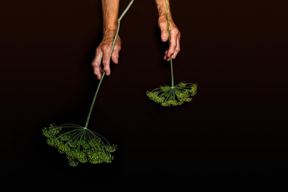 Resiliencia: coidar, coidarse, rexurdir