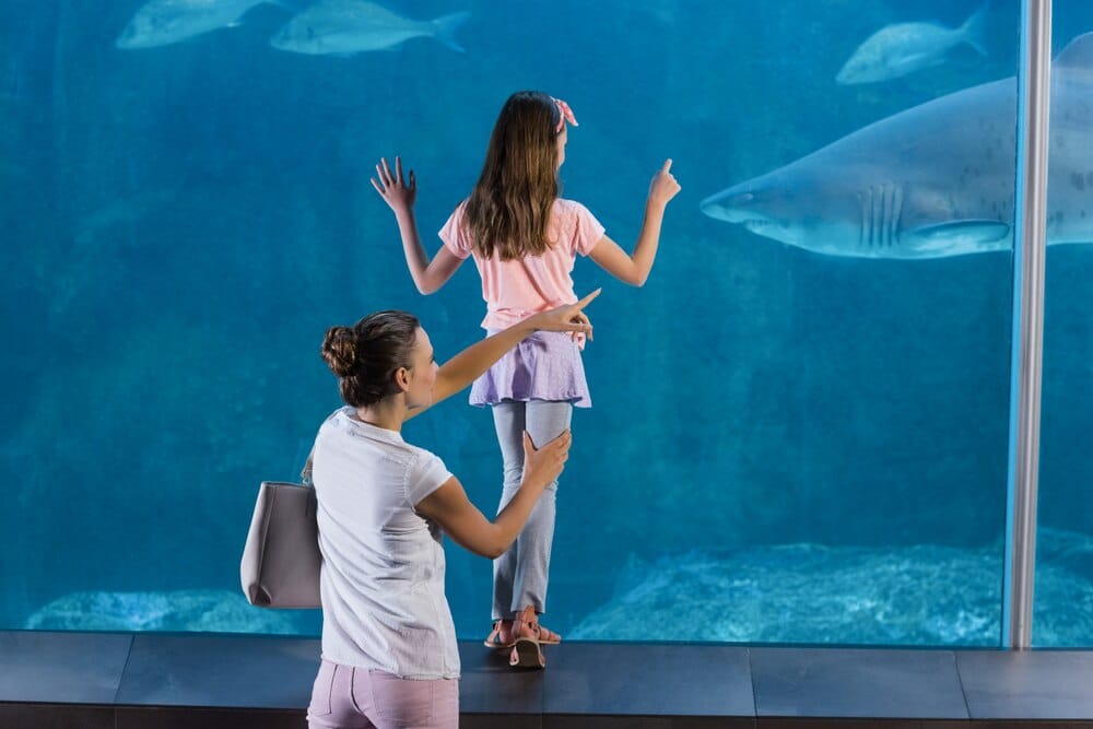Planes de verano en el Acuario de Sevilla