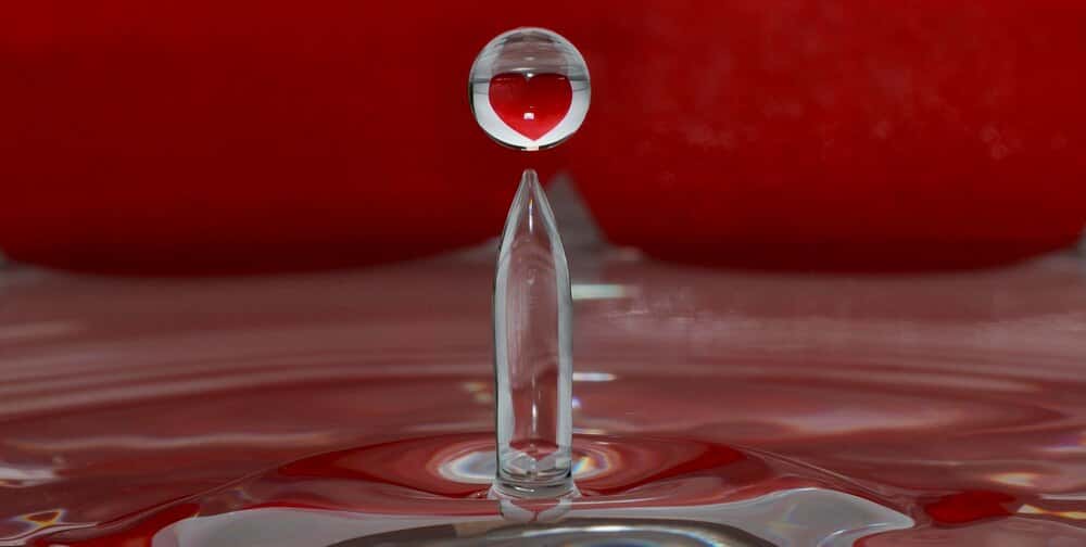 Donación de sangre Hermandad de la Macarena