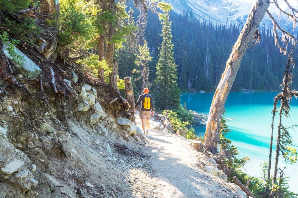 The Bow Glacier Falls Trail Reopens for Hikers