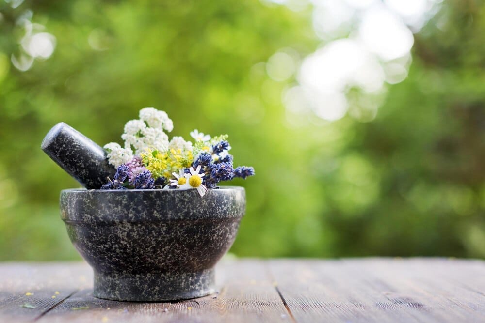 Taller de plantas medicinales: Elaboración de pomada Sanjuanera