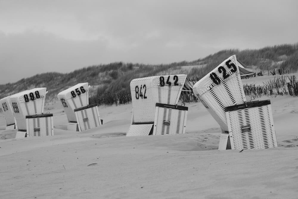 Madness Announces 'Madrophenia' Brighton Beach Gig