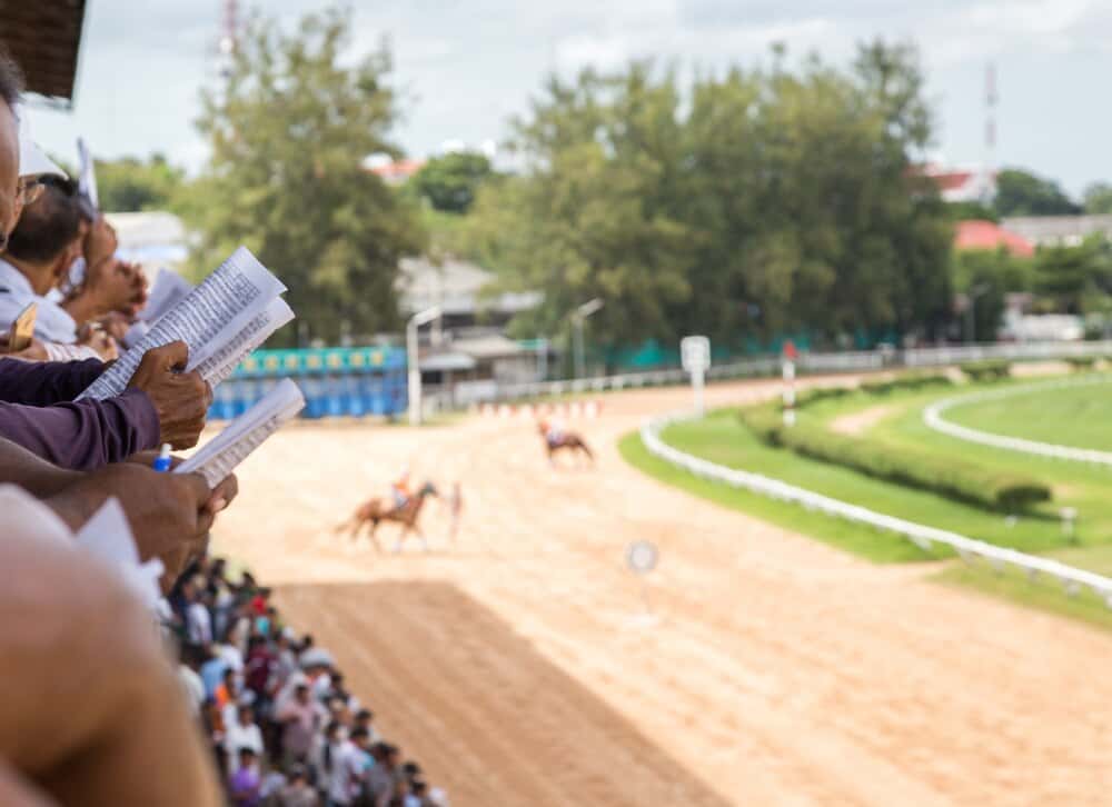 Noches del Hipódromo: carreras y ocio al aire libre
