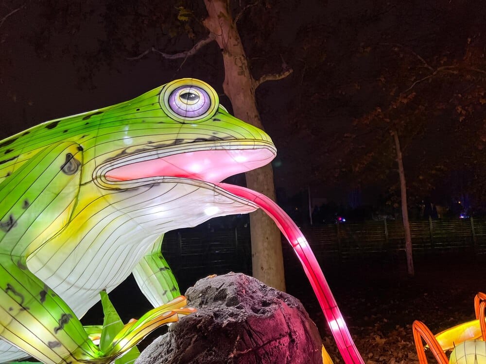 Zootr贸polis El Musical