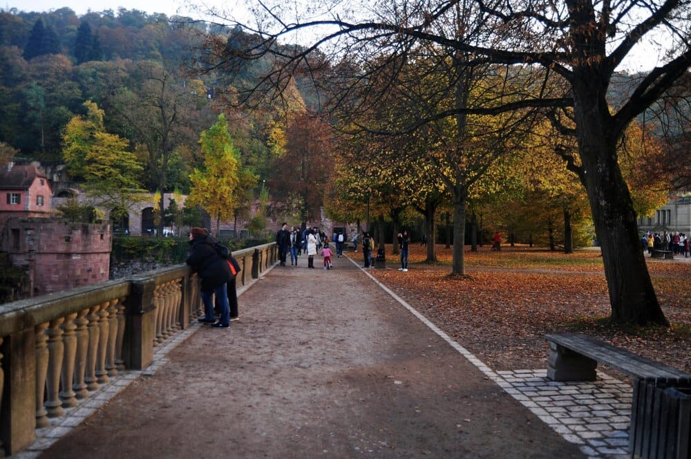 York Walking Festival