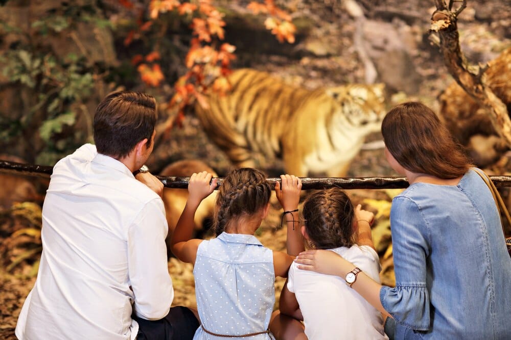 Zoológico Centenario: horarios, especies y cómo visitarlo