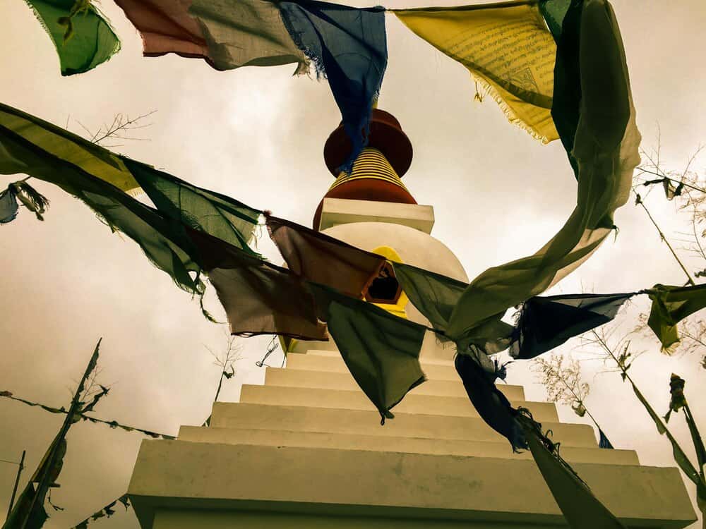 Exposición «7 linguas, 7 colonialismos»