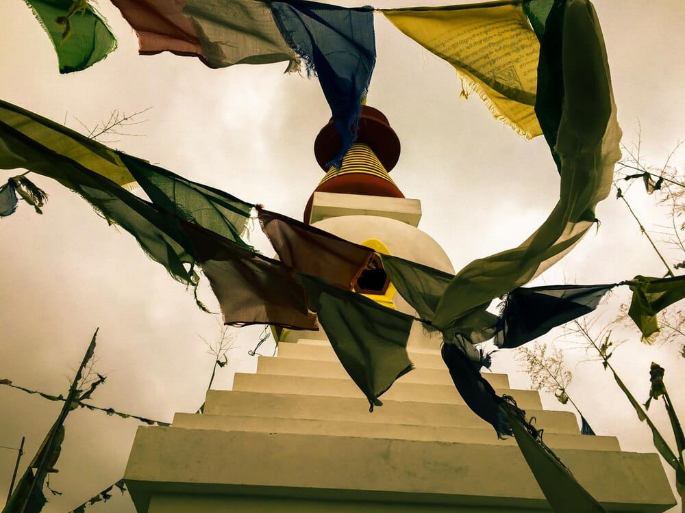 Exposición «7 linguas, 7 colonialismos»