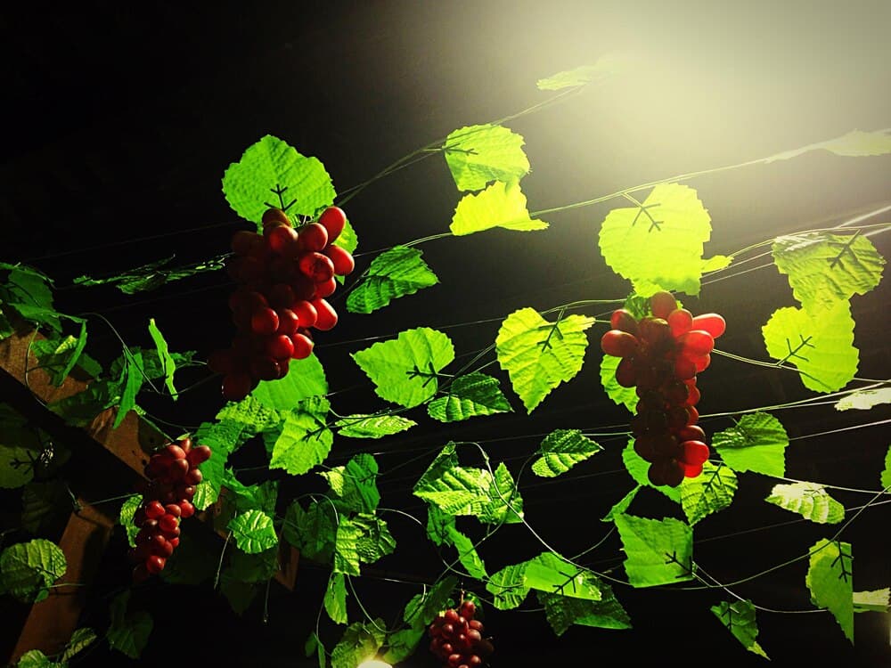 Certificados en Cultura del Vino Nivel III: Viaje a la España líquida