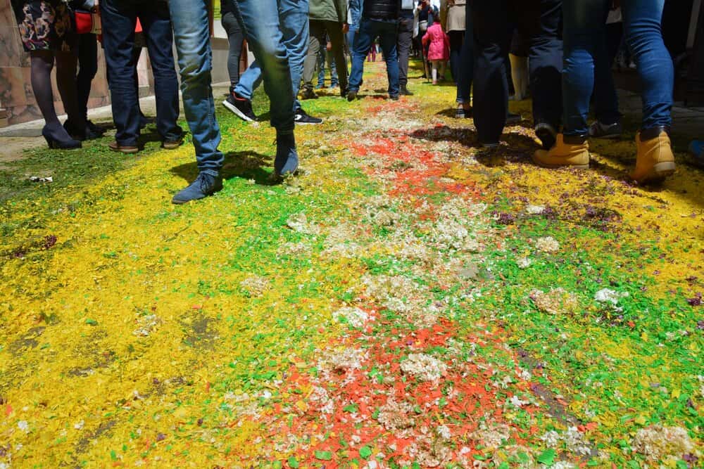 Plan B Cultural en Lugo: La Agenda de Primavera del Campus Terra