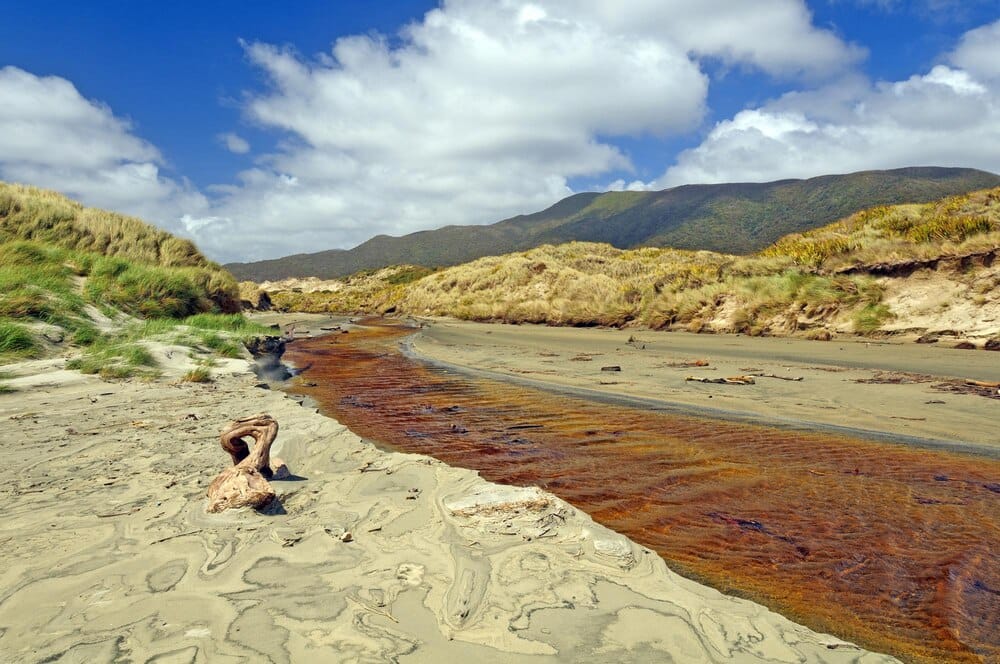 Ruta por las mejores playas fluviales de Lugo este verano